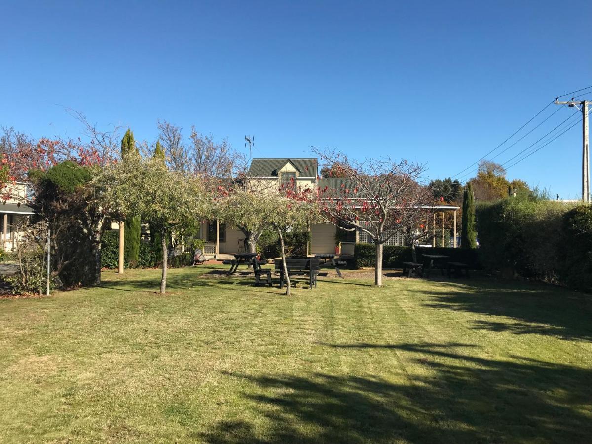 Pinot Villas Martinborough Zewnętrze zdjęcie