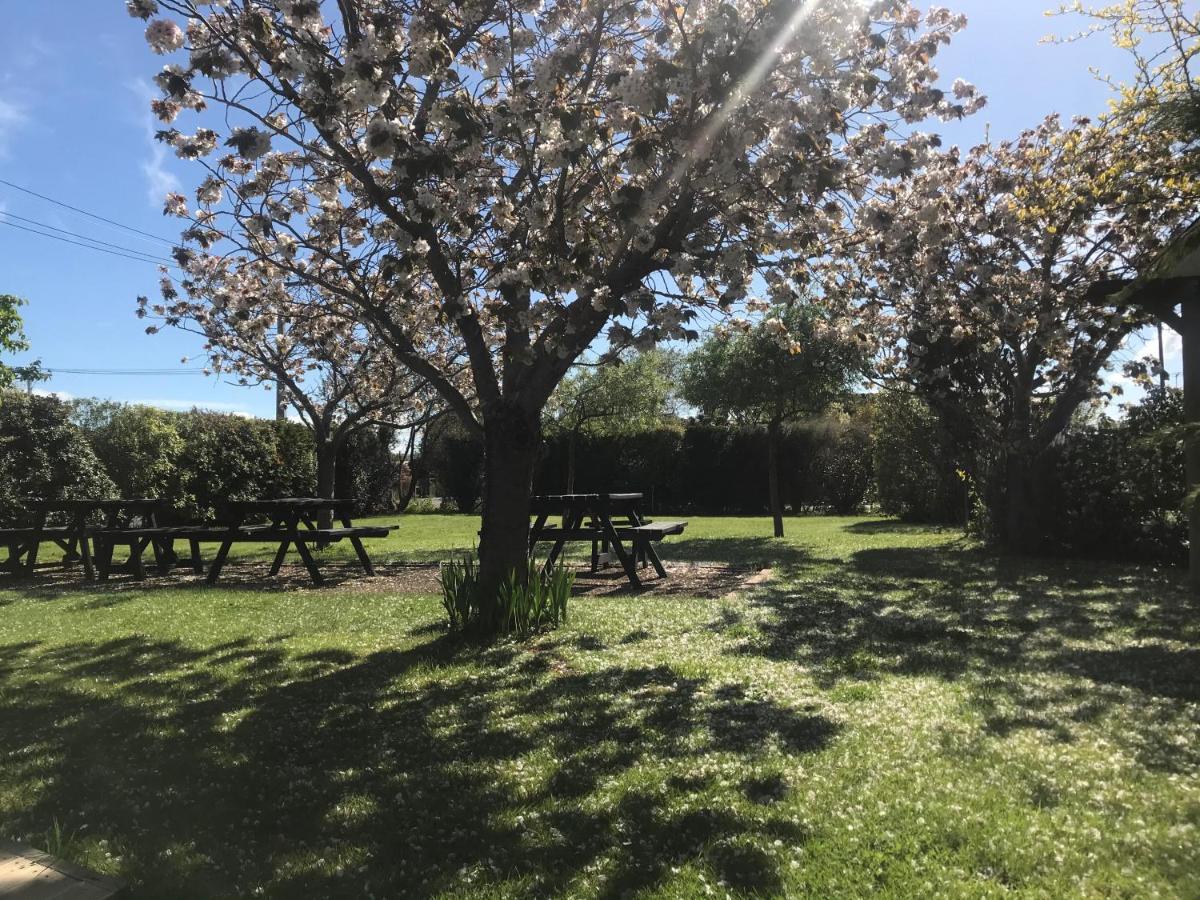 Pinot Villas Martinborough Zewnętrze zdjęcie